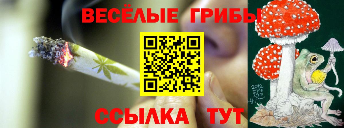 Псилоцибиновые грибы Cubensis Владимир